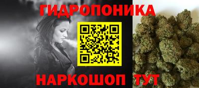 гидра Гусев