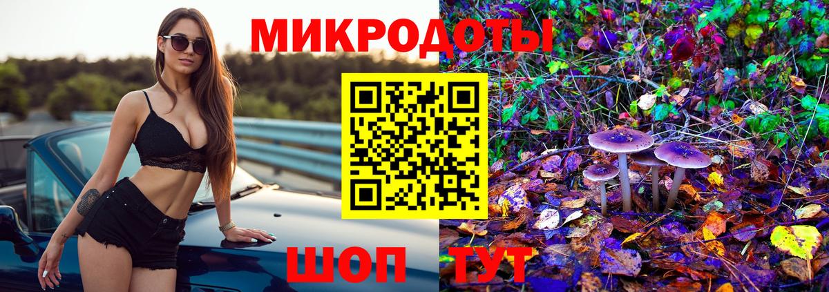 Киселёвск  где купить наркоту  Вход с VPN  Галлюциногенные грибы Psilocybine cubensis 