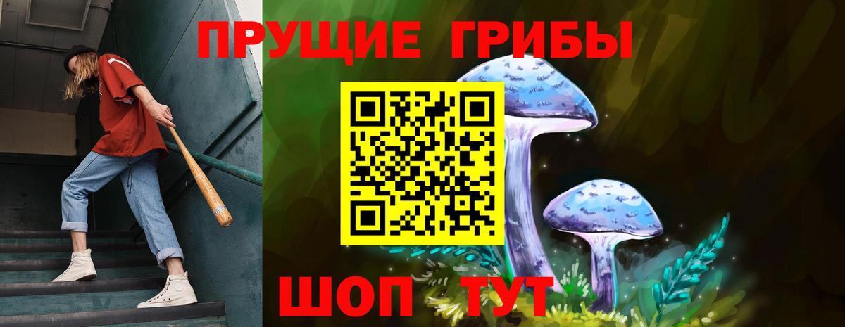 Псилоцибиновые грибы мицелий Киселёвск